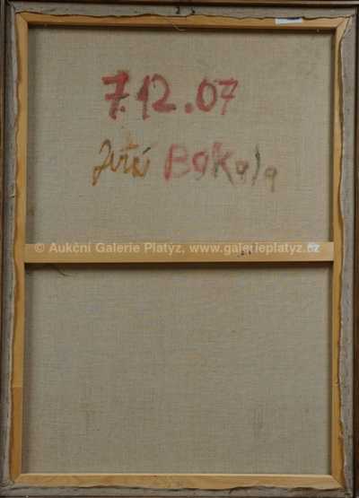  / Hmota / Jiří Bakala