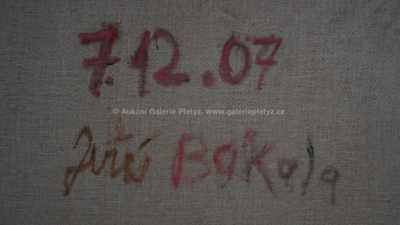  / Hmota / Jiří Bakala