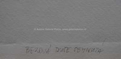  / Bezová duše skloněná / Olbram Zoubek