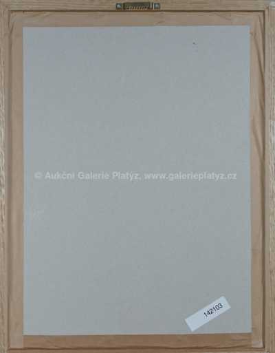  / Dívka / Ota Janeček