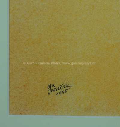  / Dívka / Ota Janeček