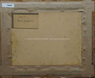  / Cestička do vsi /   Neznačeno