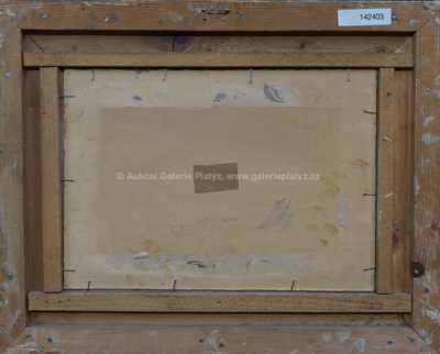  / V lese / Josef Procházka