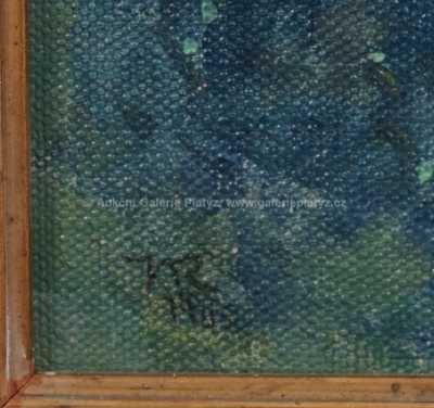  / Cesta u řeky / Karel Vik