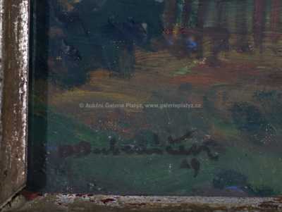  / Stará chaloupka / Ota Bubeníček