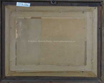  / Stará chaloupka / Ota Bubeníček