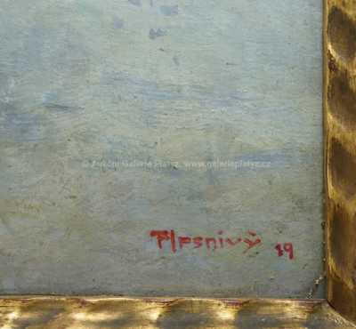  / Konvolut dvou kusů / Vincent Plesnivý