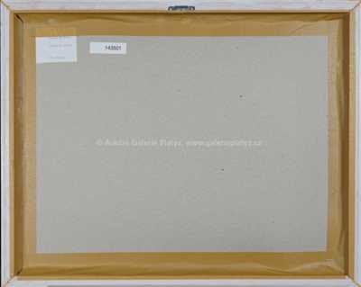  / Labutě na Otavě / Václav Rožánek