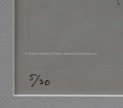  / Zahnání stymfálských dravých ptáků / Emil Filla