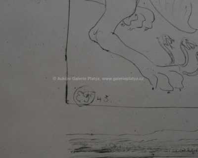  / Z cyklu Herakles / Emil Filla