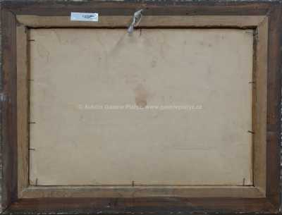  / Zímní motiv / František Daněk - Sedláček