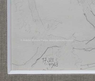  / Z Boskovic / Othon Coubine