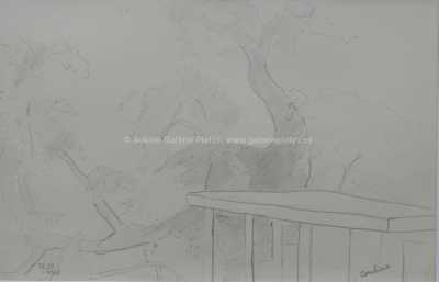  / Z Boskovic / Othon Coubine