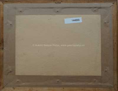  / Mladá Vožice / Ota Bubeníček