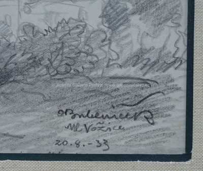  / Mladá Vožice / Ota Bubeníček