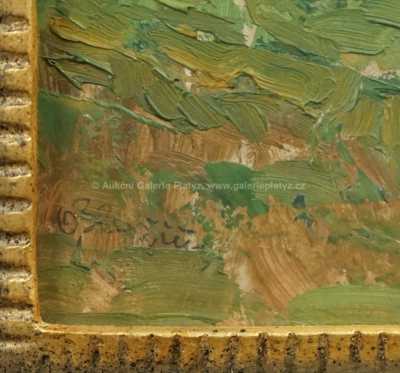  / Mezi stromy / Oldřich Blažíček