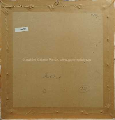  / V pokoji /   Neznačeno