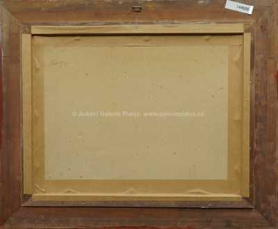  / V polích /   Neznačeno