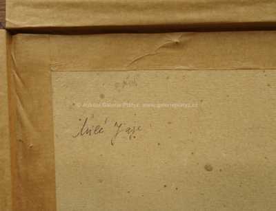  / V polích /   Neznačeno