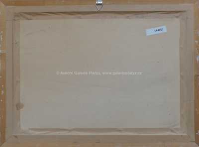  / Okraj vesnice / Rudolf  Walter