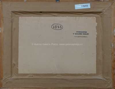  / Z jižních Čech / Ota Bubeníček