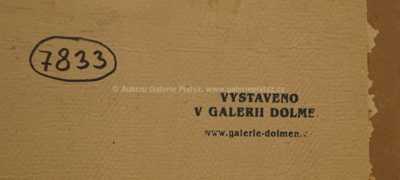  / Z jižních Čech / Ota Bubeníček