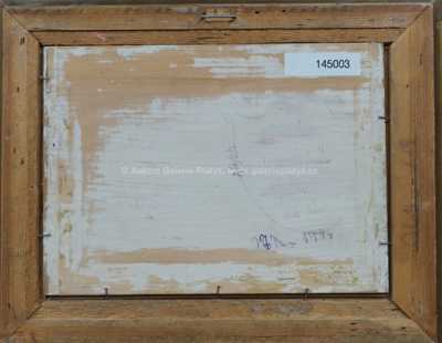  / Pole před bouří / Vojtěch  Sedláček