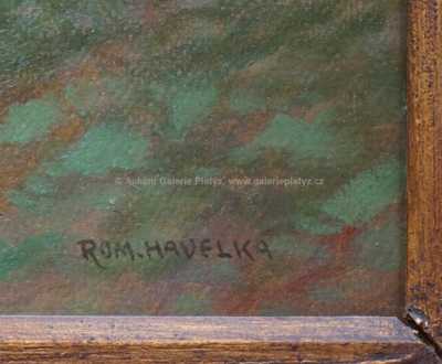  / Skála v lese / Roman Havelka