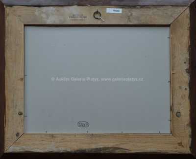  / Skála v lese / Roman Havelka