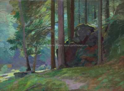  / Skála v lese / Roman Havelka