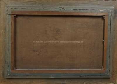  / Horská řeka / Alois Bubák