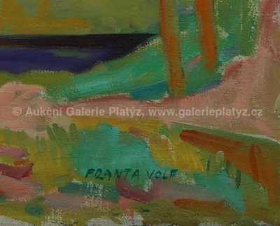  / Staré chalupy / Franta Volf