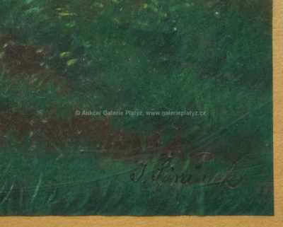  / U rozkvetlého stromu / Jaroslav Šimůnek