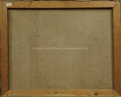  / Vesnička / Franta Volf