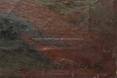  / Na vršku / Franta Volf