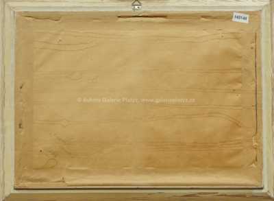  / Ovocné zátiší /   Autor neurčen