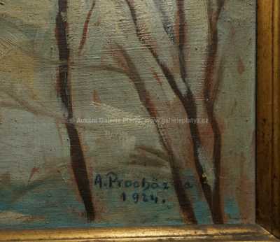  / Chrám sv. Víta /   Autor neurčen