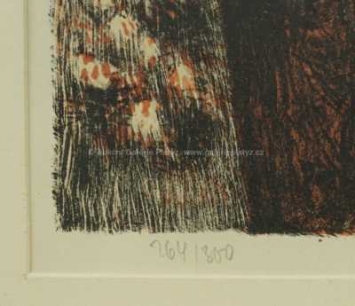  / Senát / Josef Liesler