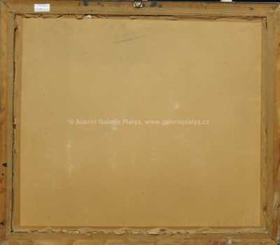  / Senát / Josef Liesler