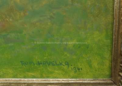  / Řeka v údolí / Roman Havelka