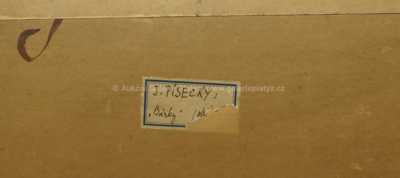  / Bárky / Josef Písecký (Liška)