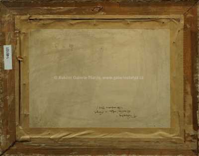  / Viniční ulice v Praze / Ferdinand Kotvald