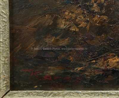  / V lese / Karel Karas