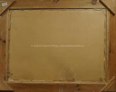  / V lese / Karel Karas