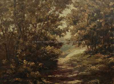  / V lese / Karel Karas