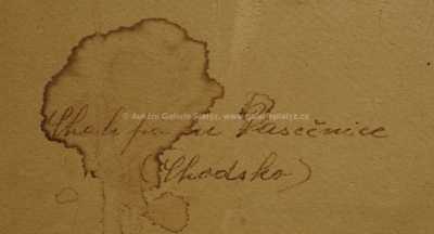  / Chalupa u Pasečnice / Václav Malý