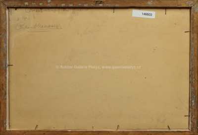  / Park ve Znojmě / Anton Hlavacek