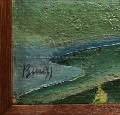  / Červánky / Vlastimil  Beneš