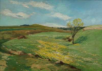  / Rozkvetlá louka / Josef Krejsa