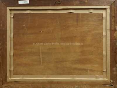  / Rozkvetlá louka / Josef Krejsa